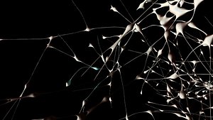 3d model brain neuron cloud particle flow