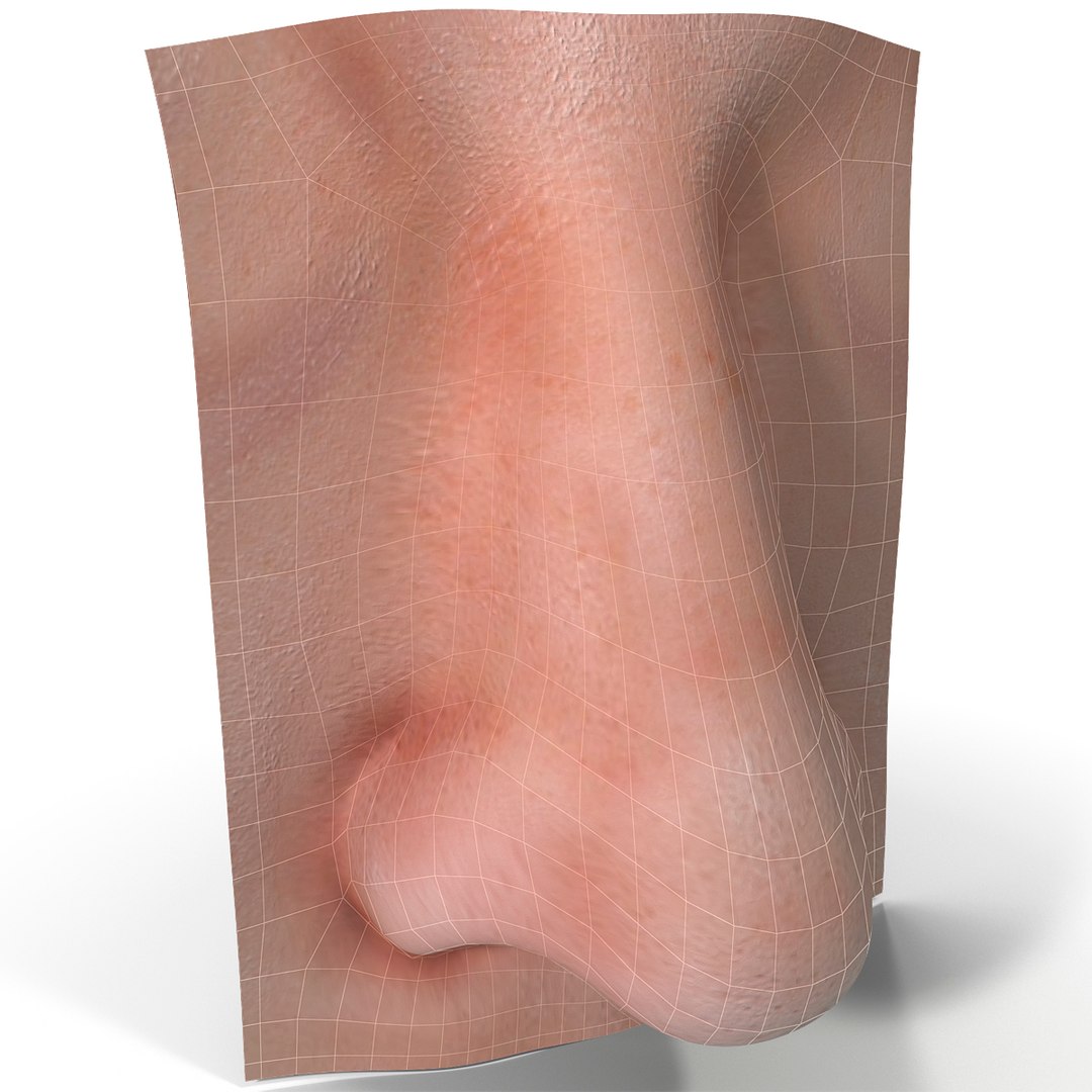 3d nose model https://p.turbosquid.com/ts-thumb/eb/rj1wwN/G4OIwLlk/nose_7/jpg/1393351448/1920x1080/fit_q87/15c055a5218756ce5392407a4bd2d4cf42d9175c/nose_7.jpg