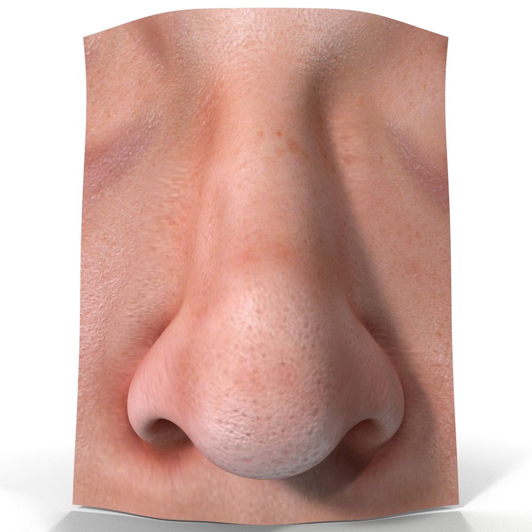 3d nose model https://p.turbosquid.com/ts-thumb/eb/rj1wwN/Z4tVwjWS/nose_9/jpg/1393351455/1920x1080/fit_q87/ad4a457533d4d9b349d9ce5eb11ad0efd925694a/nose_9.jpg