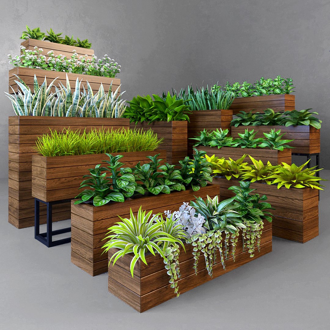 Plant Pot 3D Model - TurboSquid 1216024