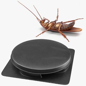Animated Cockroach with Bait Collection for Maya