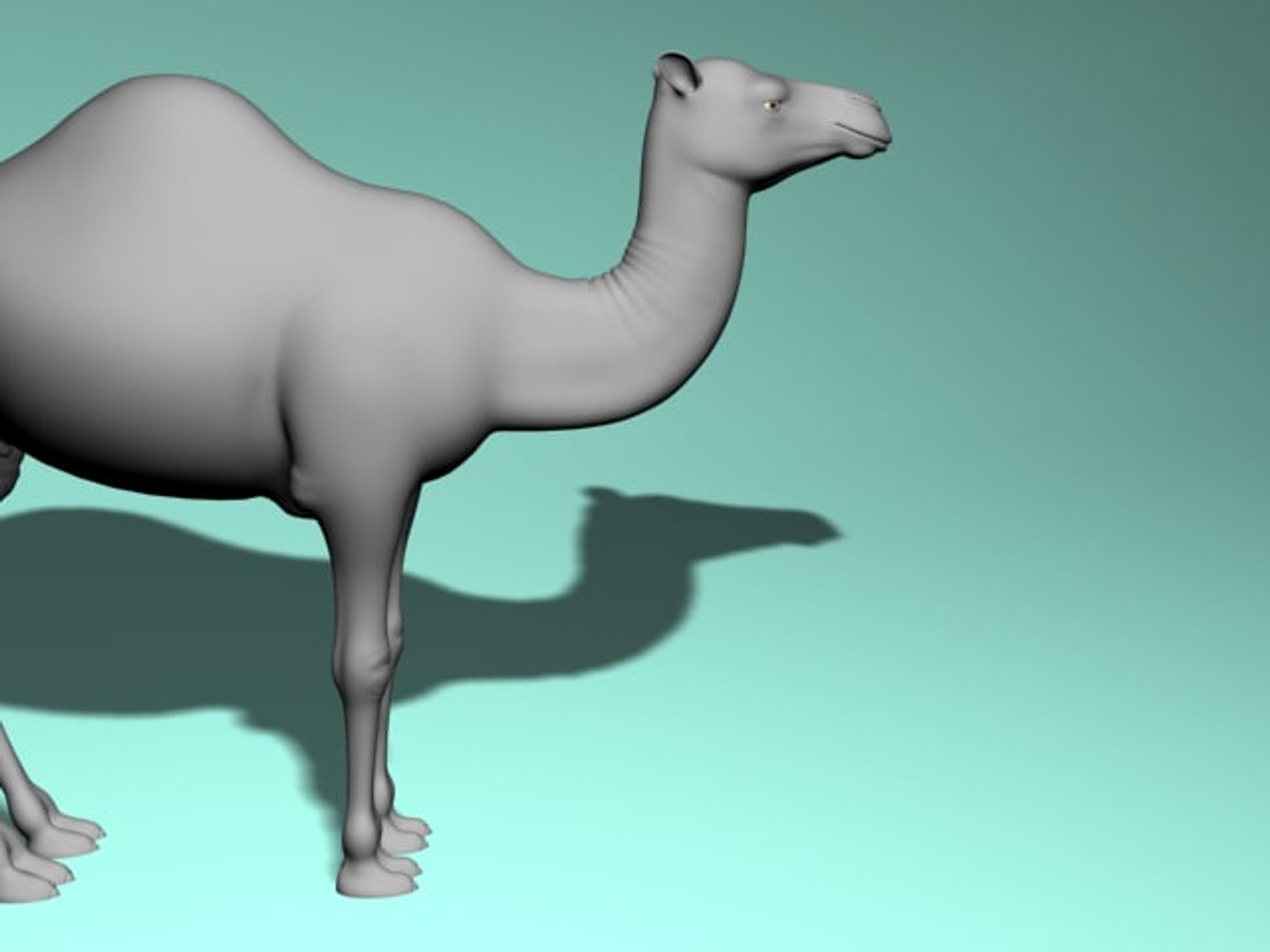 3d camel model https://p.turbosquid.com/ts-thumb/ec/0yMuUQ/5tiCbsxs/6.bmp800656ed26554f849d9fa81bb24133a4original/jpg/1489746212/1920x1080/fit_q87/d146217104603c7613fc99c7ddd50f0ef6f9bef0/6.bmp800656ed26554f849d9fa81bb24133a4original.jpg