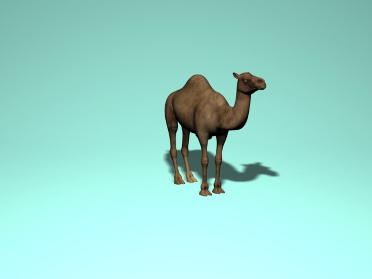 3d camel model https://p.turbosquid.com/ts-thumb/ec/0yMuUQ/tVqvsIjP/2.bmp2b6f3e28b5cf4cdd99e656ab289642f8original/jpg/1489746212/1920x1080/fit_q87/ddbc7414b5ad202ca8ed831ba904d2e18c099b29/2.bmp2b6f3e28b5cf4cdd99e656ab289642f8original.jpg