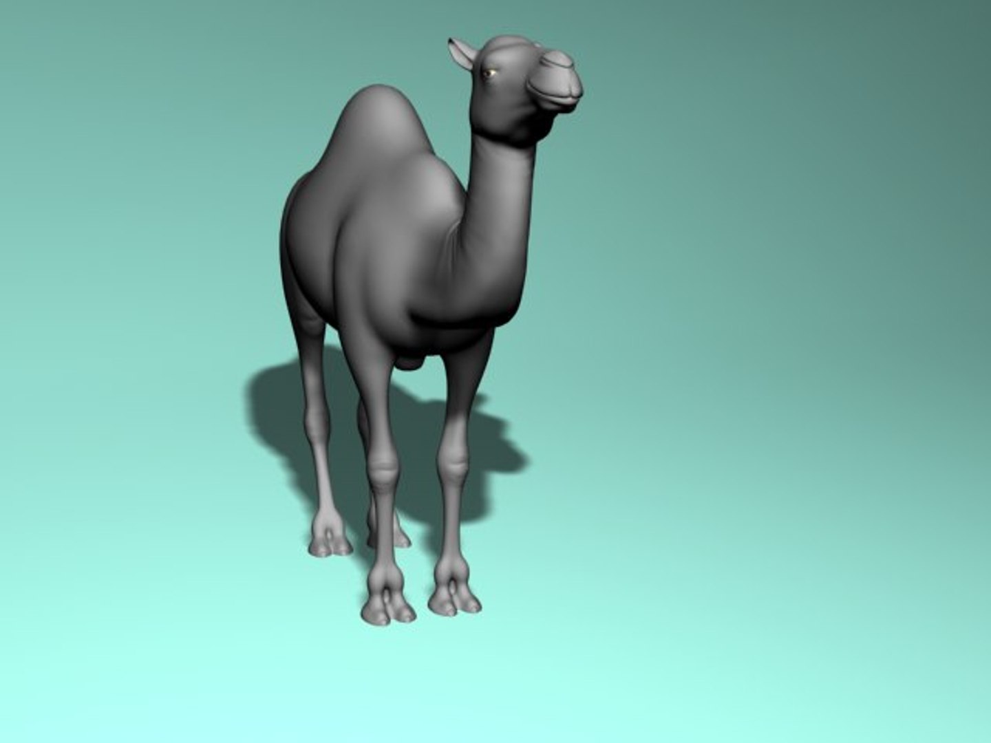 3d camel model https://p.turbosquid.com/ts-thumb/ec/0yMuUQ/wqo5JuAM/5.bmpfd6710df13e54ae7b3496f41ccbb6c43original/jpg/1489746212/1920x1080/fit_q87/91a859640c25c5c7a537e198afb5013f1592f9d1/5.bmpfd6710df13e54ae7b3496f41ccbb6c43original.jpg