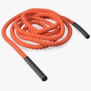 Thick Rope 3D model