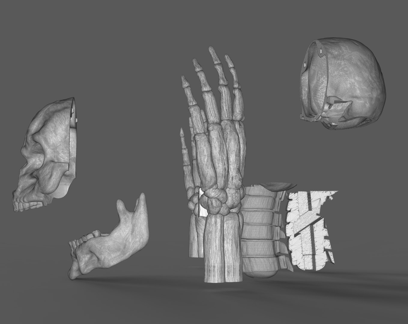 Lord Death Parts 3D model https://p.turbosquid.com/ts-thumb/ec/5Vq4SG/Xe/untitled.355/jpg/1749064516/1920x1080/fit_q87/955994a1d1ca21eac9371c777db1f9c86fe8ac8c/untitled.355.jpg