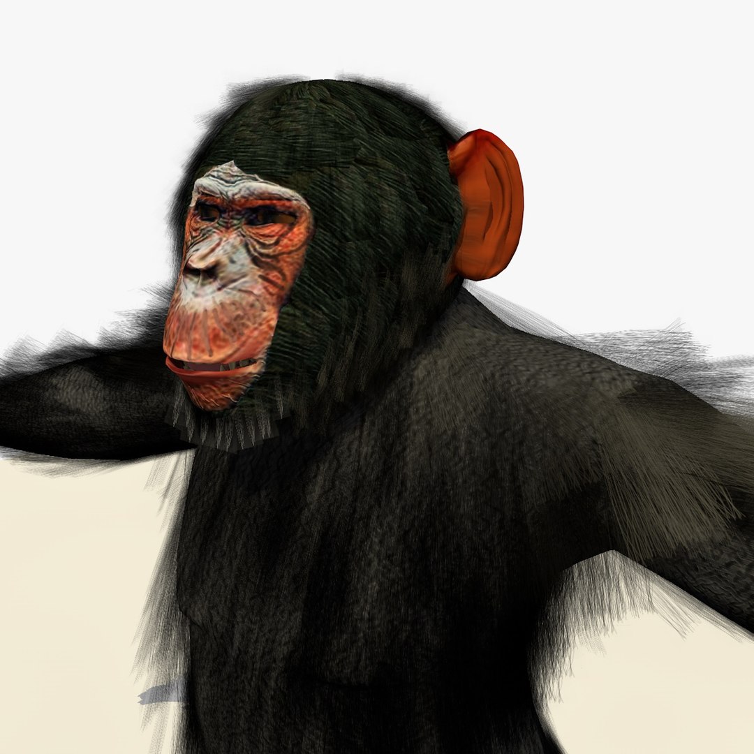3d Rigged Chimpanzee Swinging Animation