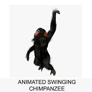 3d rigged chimpanzee swinging animation
