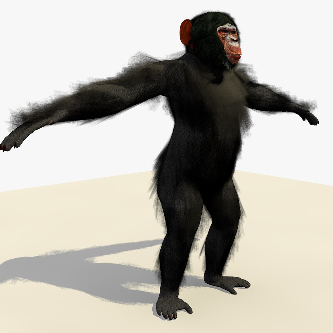 3d Rigged Chimpanzee Swinging Animation
