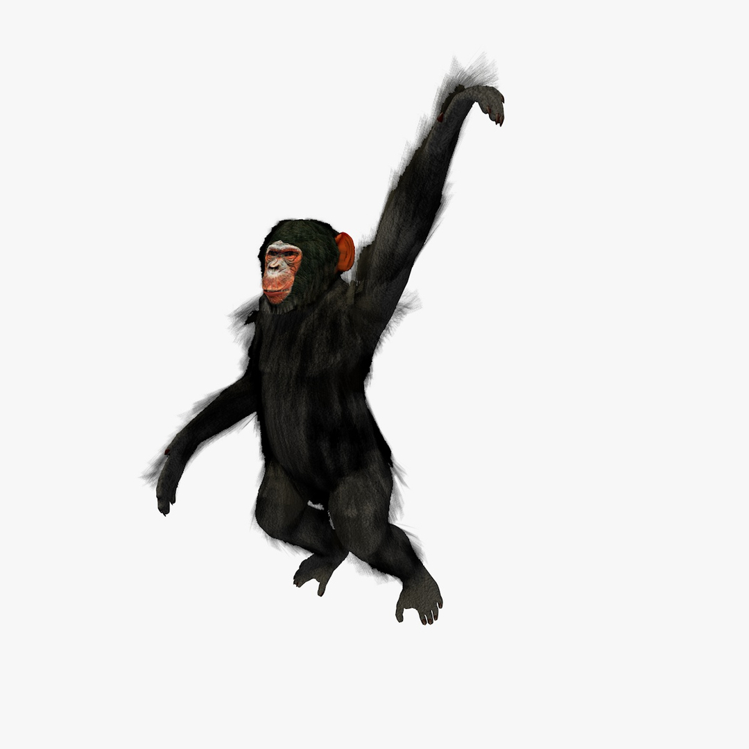 3d Rigged Chimpanzee Swinging Animation