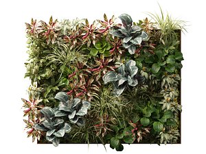Vertical Garden - The Calathea Tapestry Green Wall model