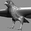3d model red tailed hawk