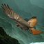 3d model red tailed hawk