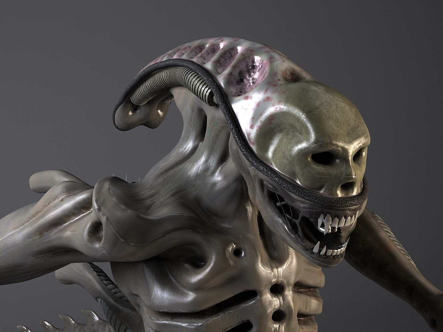 3d model rigged alien xenomorph https://p.turbosquid.com/ts-thumb/ec/MUX1R7/ddqRXsZn/xenomorph_0007/jpg/1421582027/1920x1080/fit_q87/f2e9805c3e0509a2b7cc118bca8ec89311acf4dd/xenomorph_0007.jpg