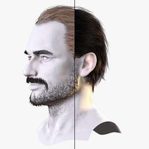 Realistic Male Hairstyle and Beard - Game Ready 3D Model