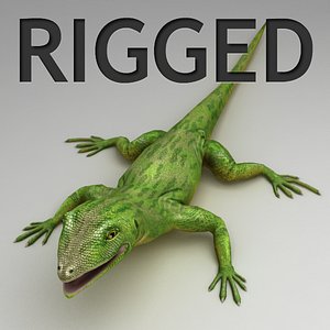 lizard green rigged obj
