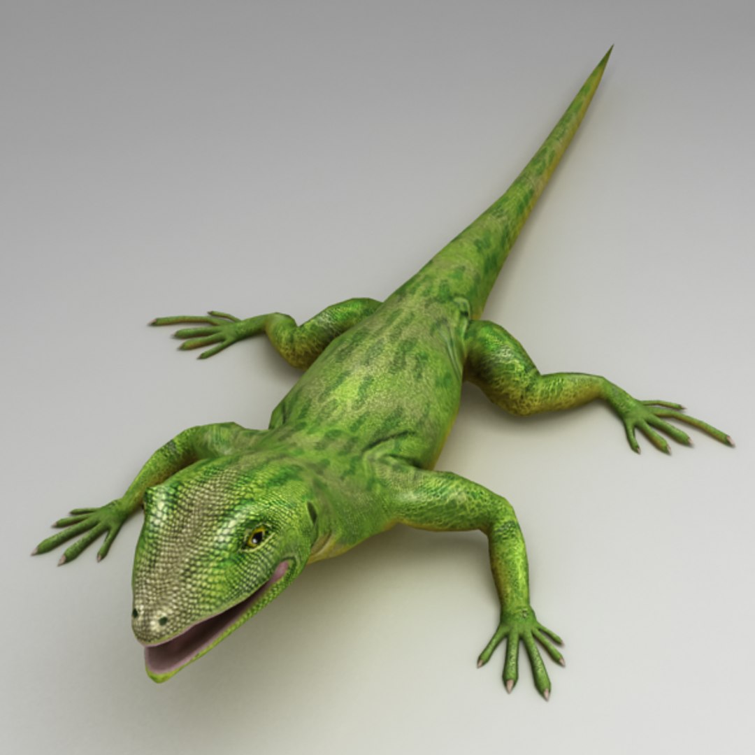 Lizard Green Rigged Obj