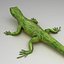 lizard green rigged obj