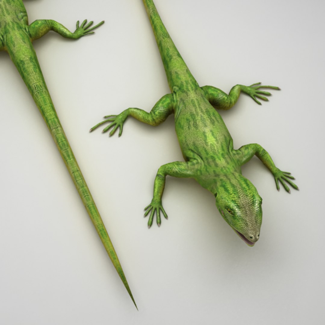 Lizard Green Rigged Obj