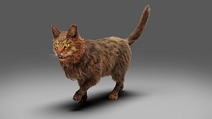 Fur Cat Grey Rigged model