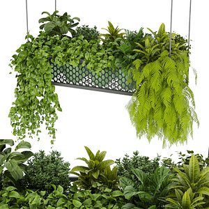 3D model Collection plant vol 347 - leaf - indoor - ampelous - hanging - 3dmax - blender- cinema 4d
