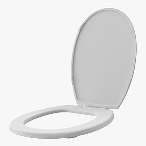 3D toilet seat