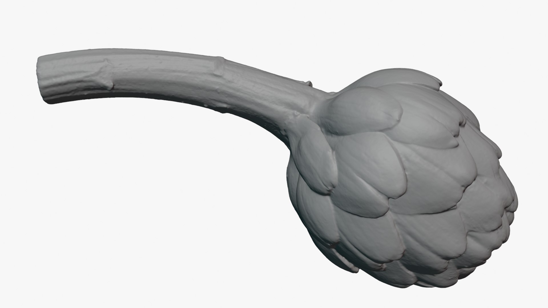 Artichoke with Stem for 3D Print 3D model https://p.turbosquid.com/ts-thumb/ed/DG52KR/BL/artichokestem_0011/png/1756021121/1920x1080/fit_q87/0b903b132e016946c3b19aa90cb72fdd1722d649/artichokestem_0011.jpg