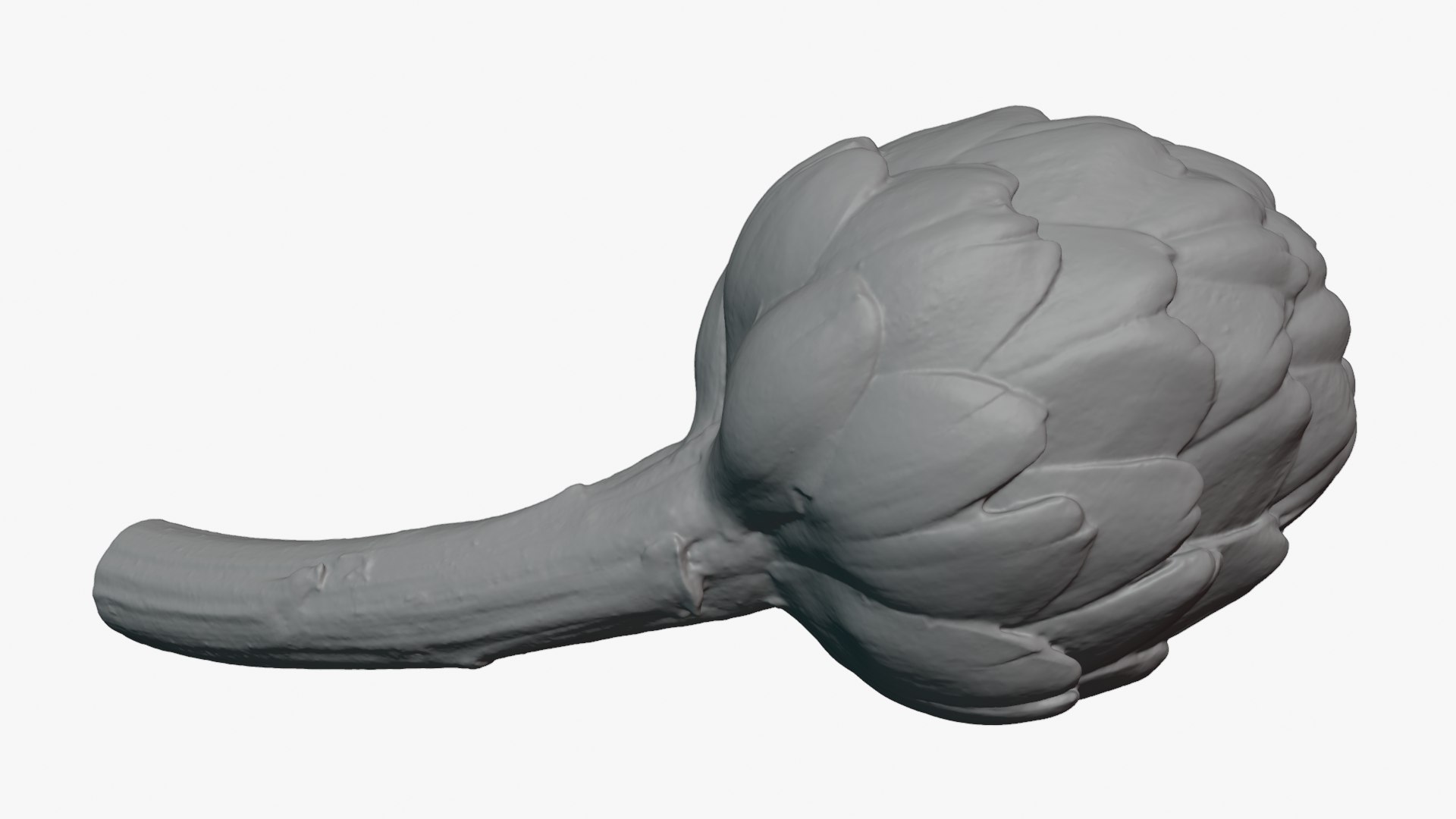 Artichoke with Stem for 3D Print 3D model https://p.turbosquid.com/ts-thumb/ed/DG52KR/Bf/artichokestem_0006/png/1756021118/1920x1080/fit_q87/cc047da3409a04b0aa086f7e2d3cd3ab7e52fb40/artichokestem_0006.jpg