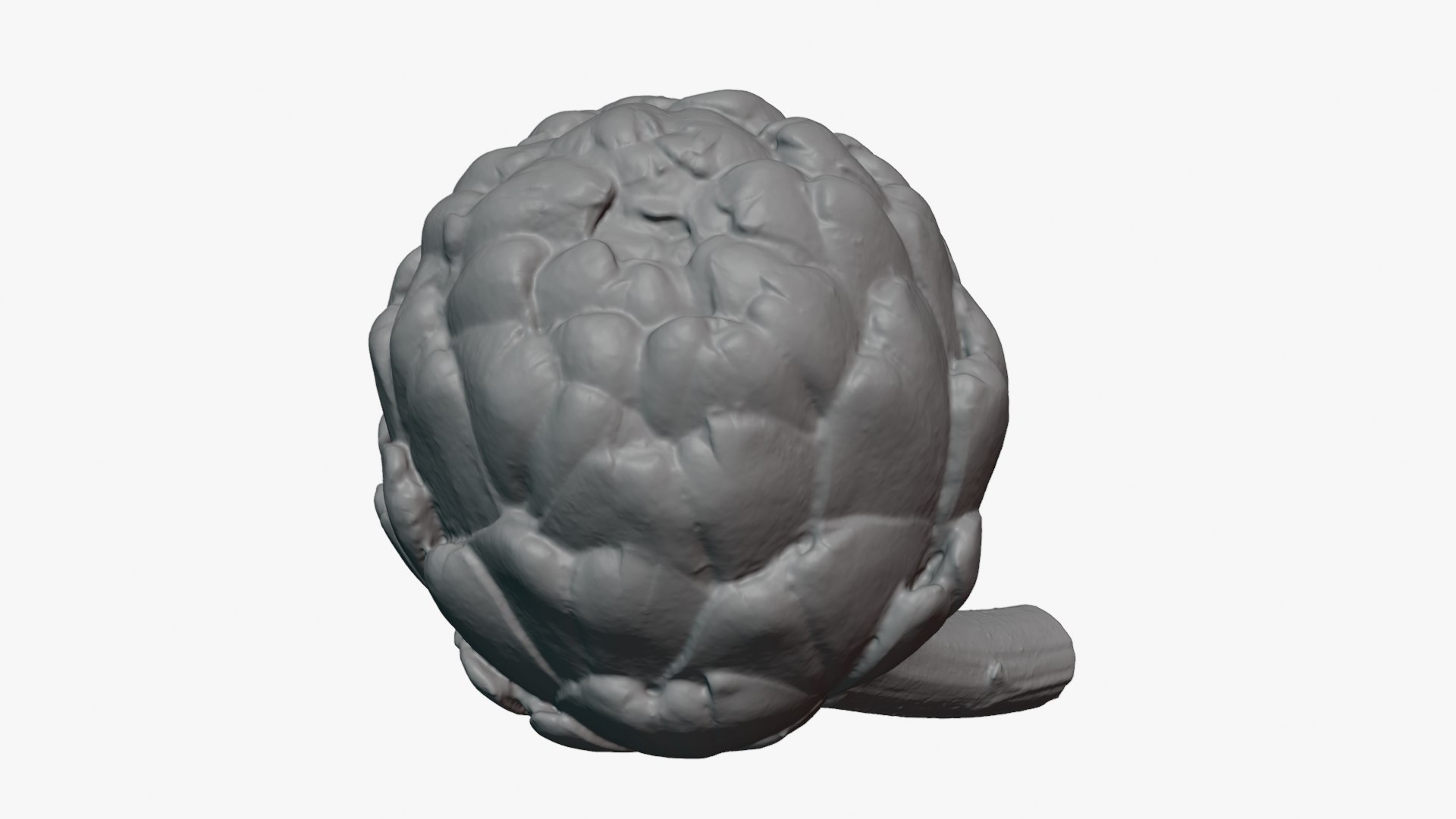 Artichoke with Stem for 3D Print 3D model https://p.turbosquid.com/ts-thumb/ed/DG52KR/OP/artichokestem_0005/png/1756021116/1920x1080/fit_q87/a9e2d18d4945095fdd4990dccb9c43afd7818494/artichokestem_0005.jpg