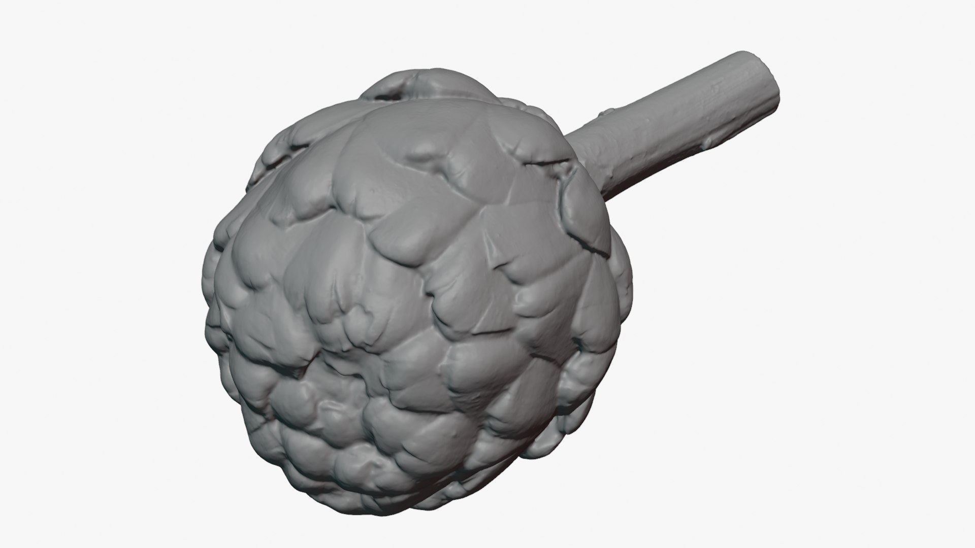 Artichoke with Stem for 3D Print 3D model https://p.turbosquid.com/ts-thumb/ed/DG52KR/T4/artichokestem_0012/png/1756021122/1920x1080/fit_q87/020c14fb5ea687f3d71fbd58c18201c273112f11/artichokestem_0012.jpg
