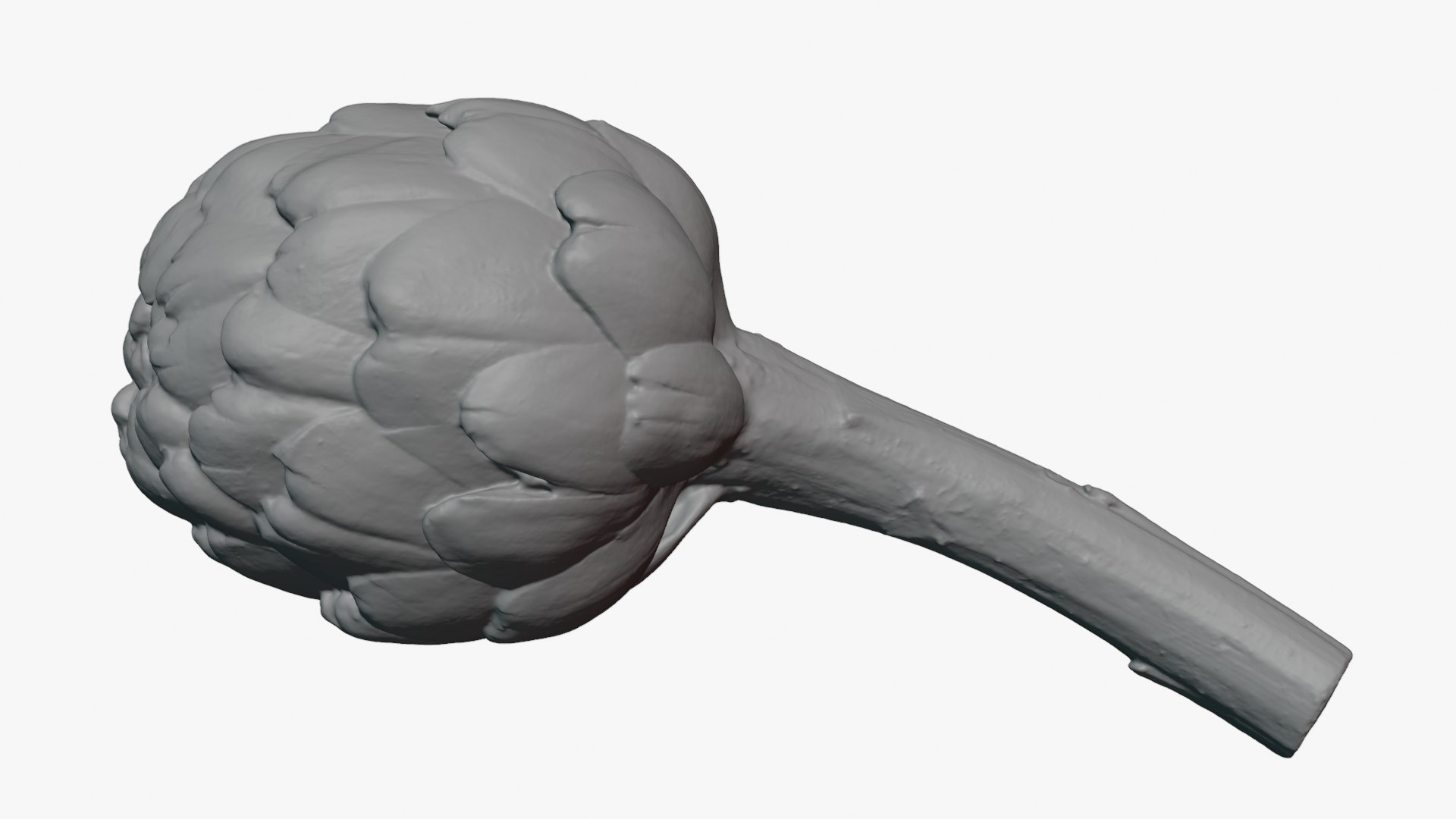 Artichoke with Stem for 3D Print 3D model https://p.turbosquid.com/ts-thumb/ed/DG52KR/Wg/artichokestem_0003/png/1756021113/1920x1080/fit_q87/d6ae7d6766602e5d94a5f87265f6a7a47201b5b7/artichokestem_0003.jpg
