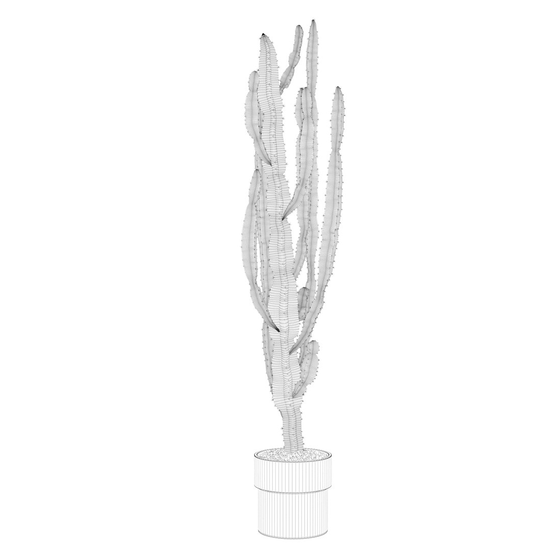 euphorbia candelabrum cactus 3D https://p.turbosquid.com/ts-thumb/ed/J9OxHh/HXXmwgYQ/cactuswire10/jpg/1601451028/1920x1080/fit_q87/746ac347a70d5ba0e527c033e1cd80208fc3501d/cactuswire10.jpg