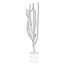 Candelabro Euphorbia