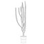 Candelabro Euphorbia