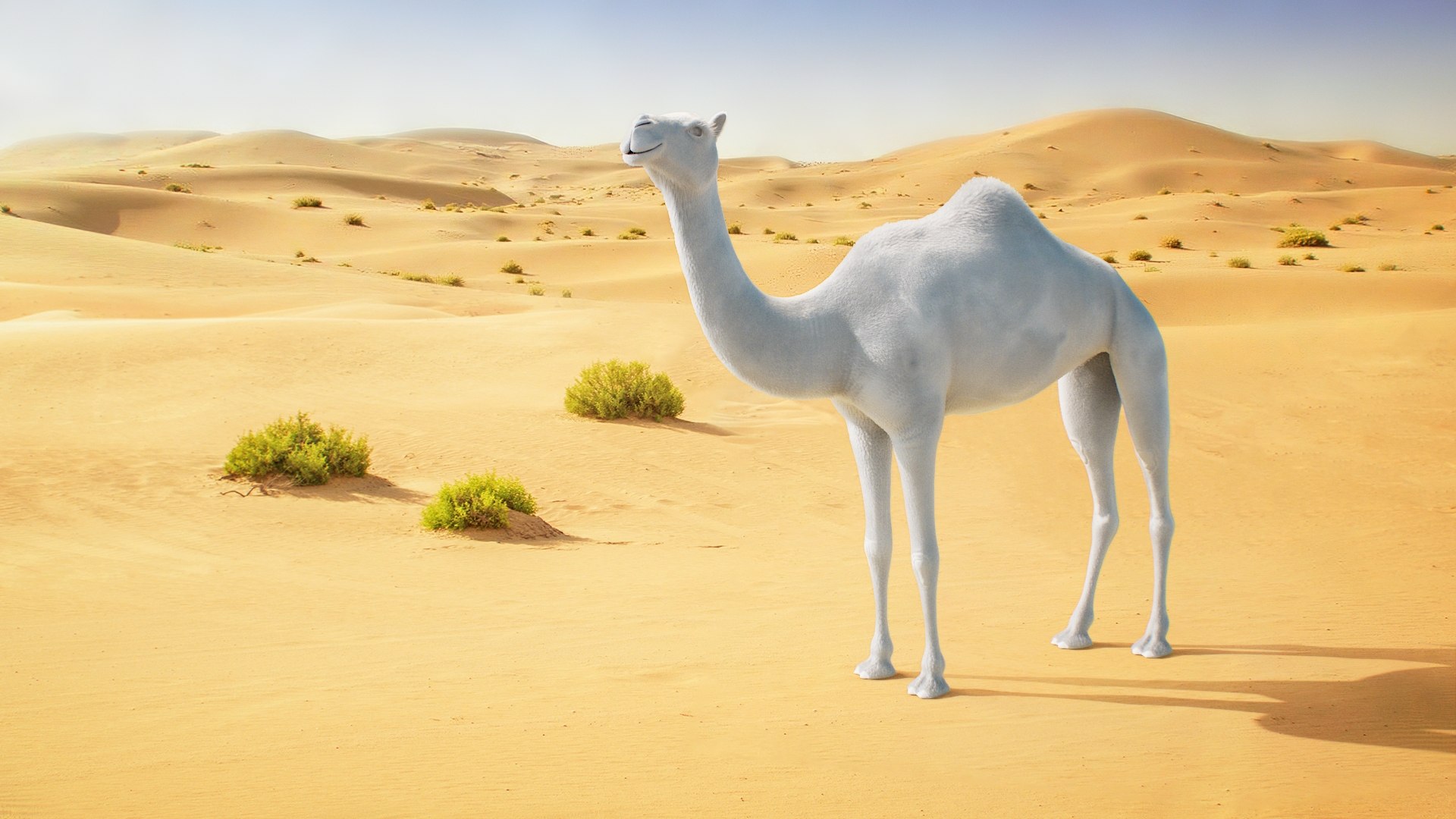 3D Dromedary Camel Rigged Xgen https://p.turbosquid.com/ts-thumb/ed/JDiPGK/Bz/camel_on_nat_bg_01_clay/jpg/1758638828/1920x1080/fit_q87/c733d0a624588da45eecc0f33ba771d27d3a0c39/camel_on_nat_bg_01_clay.jpg
