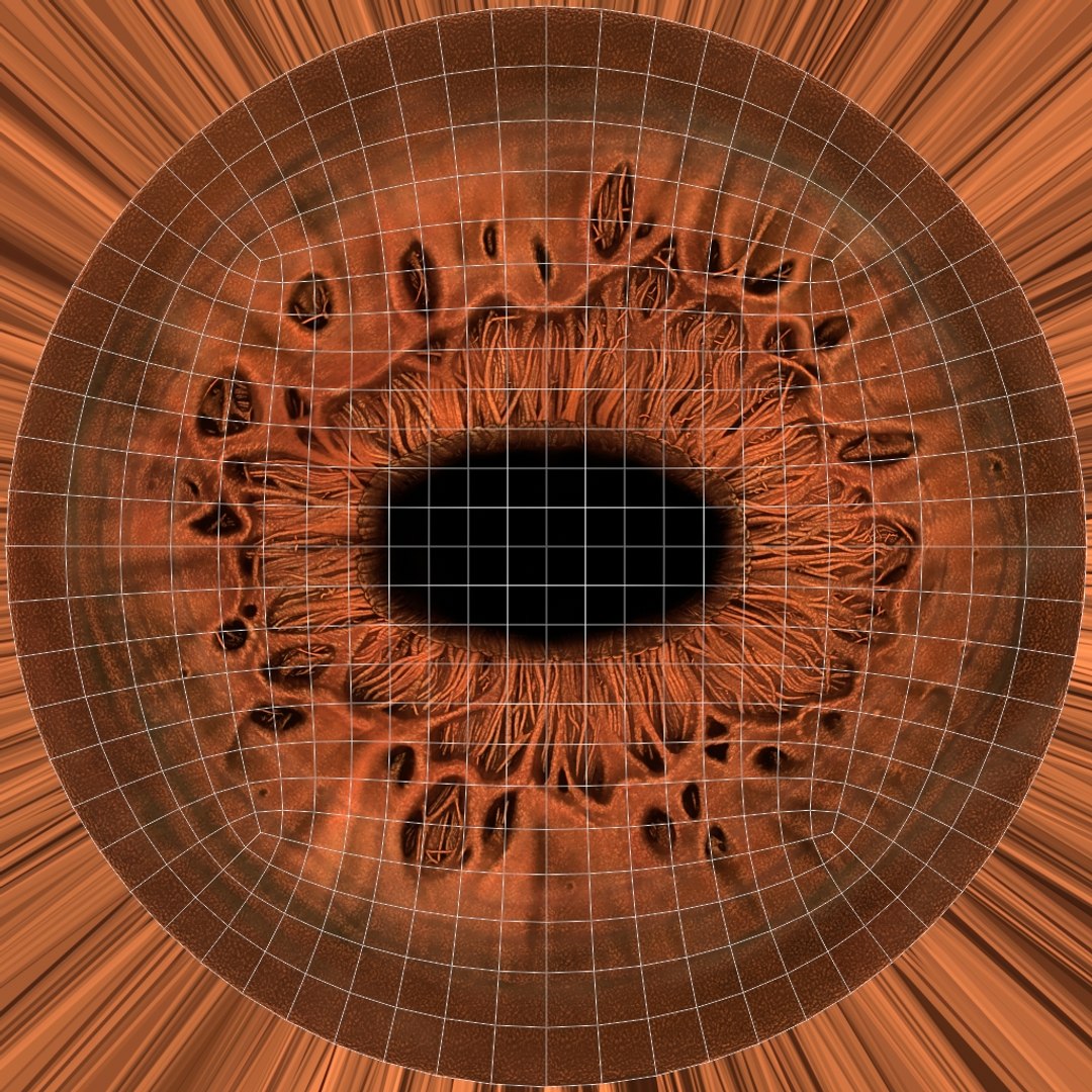 3D Dromedary Camel Rigged Xgen https://p.turbosquid.com/ts-thumb/ed/JDiPGK/o6/camel_iris_textures/jpg/1758638864/1920x1080/fit_q87/66688bd2eec76e5b41ba6a2859c71c82db797312/camel_iris_textures.jpg