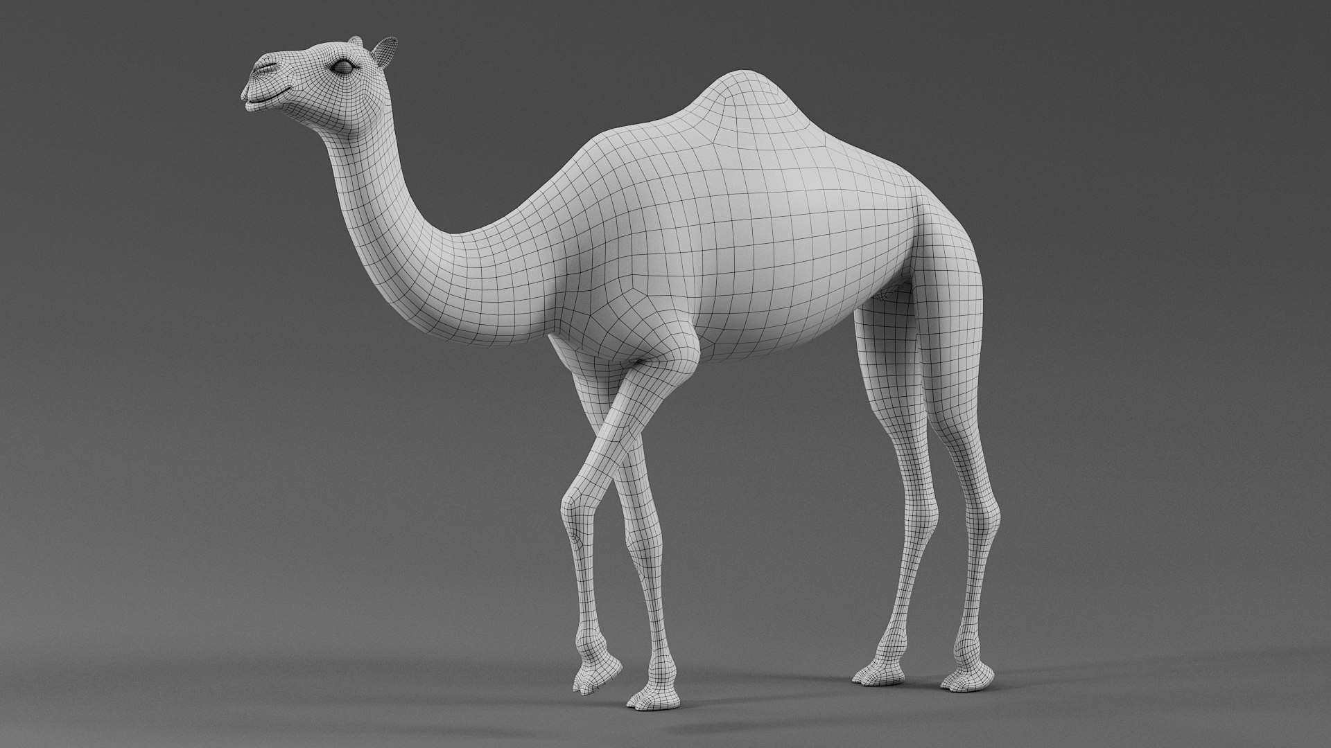 3D Dromedary Camel Rigged Xgen https://p.turbosquid.com/ts-thumb/ed/JDiPGK/oV/camel_rigged_16/jpg/1758699170/1920x1080/fit_q87/ce9144e2d2685064d19cb8326412815306c52b25/camel_rigged_16.jpg