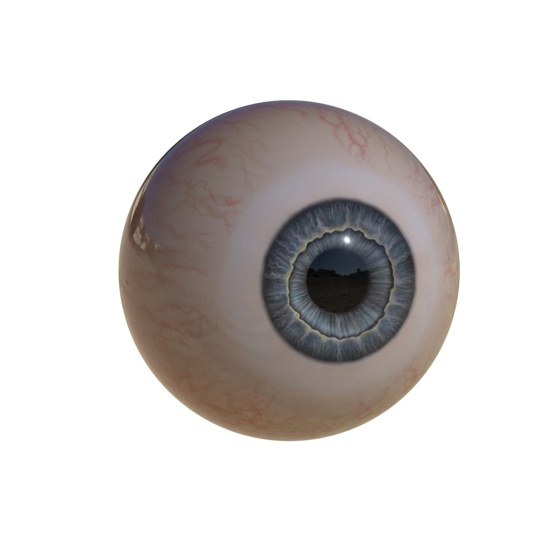 Eye Iris 3D Model | 1148149 | TurboSquid