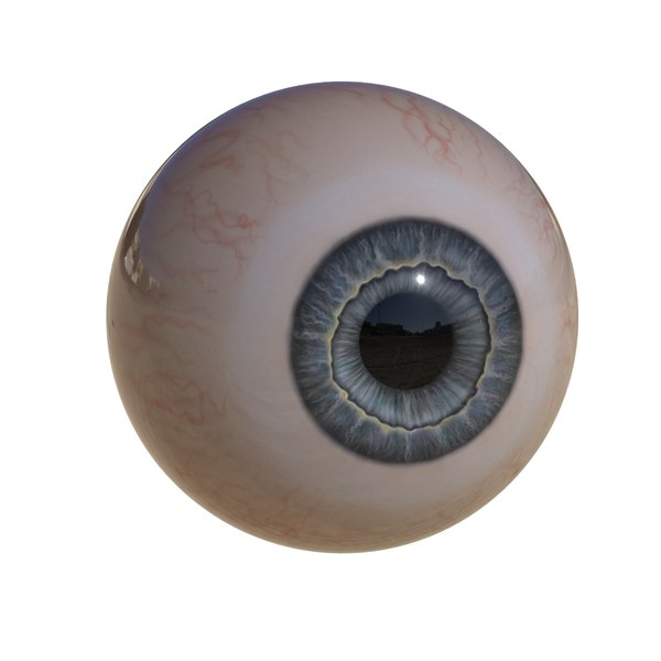 Eye iris 3D model | 1148149 | TurboSquid