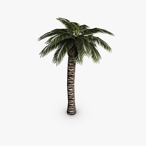 3d model palm tree