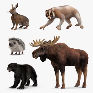 3D model Land Mammals Fur Collection 3