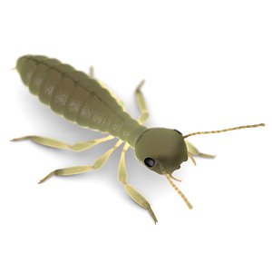3ds max nymph termite
