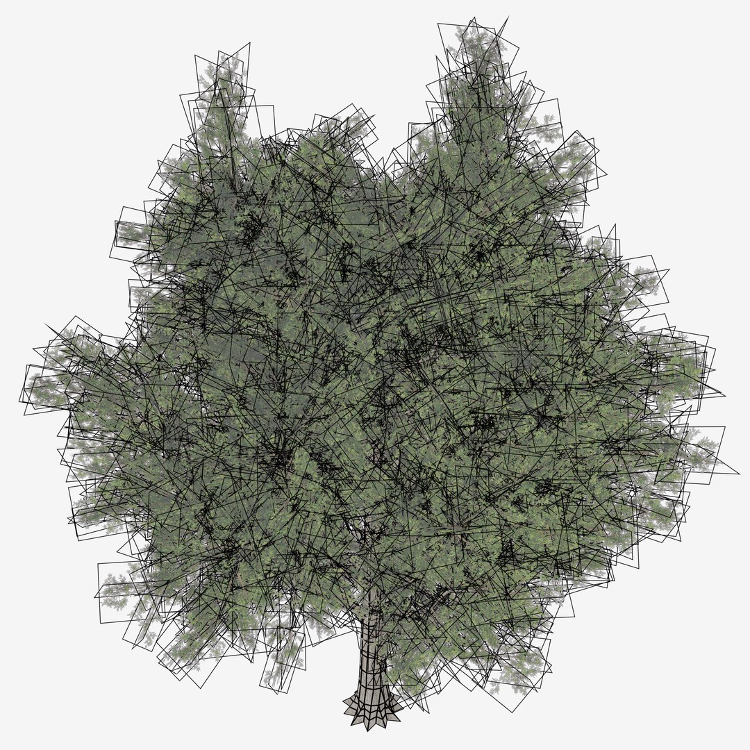 3d maple trees