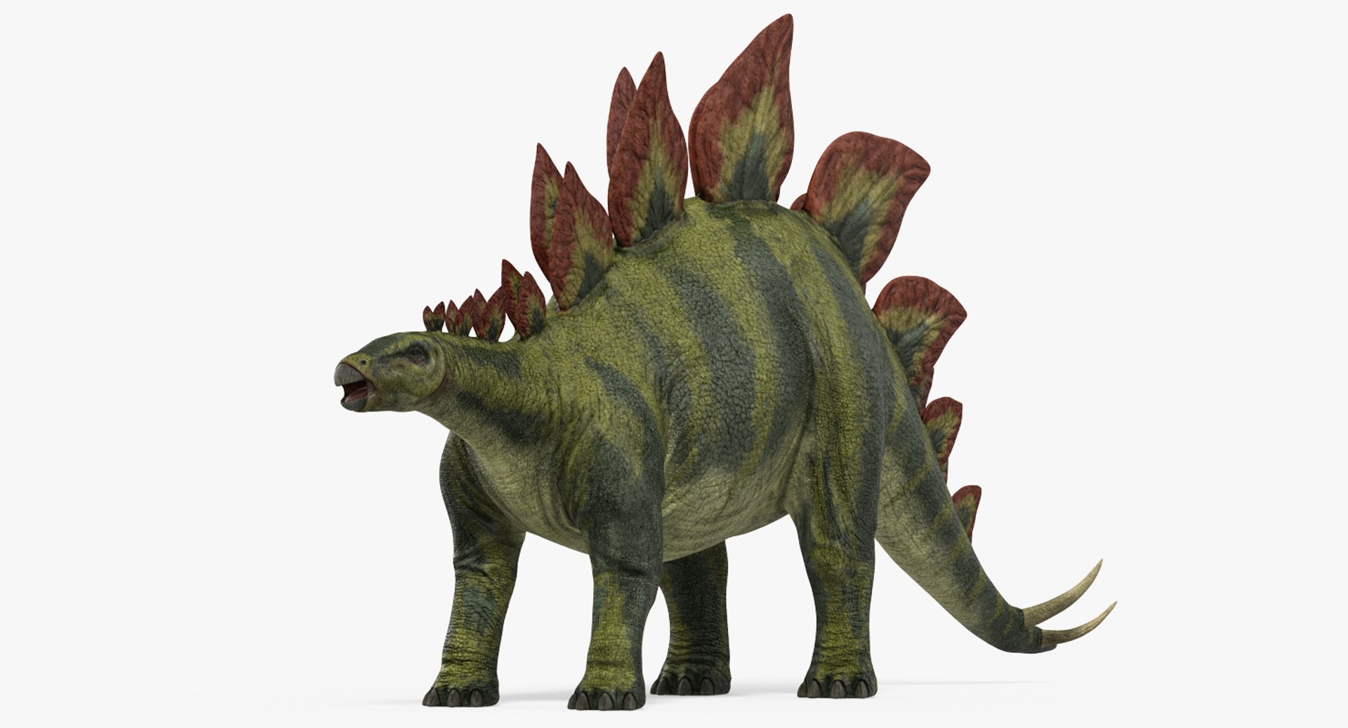 Stegosaurus 3D model preview