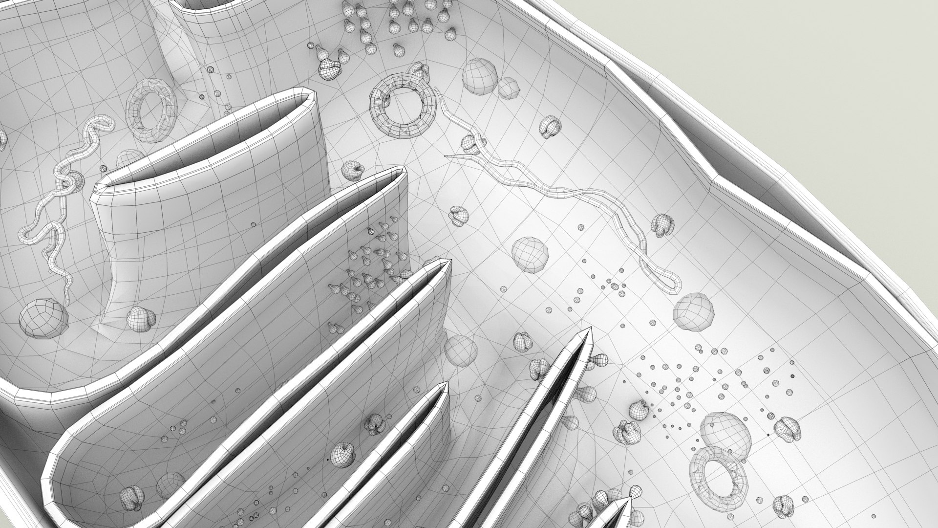 mitochondria dna ribosomes model https://p.turbosquid.com/ts-thumb/ee/E7yIKl/09/mitohondria_outline_0039/jpg/1674892267/1920x1080/fit_q87/4e5590fbd6a42abb8149abbf2c304b1139710cb5/mitohondria_outline_0039.jpg