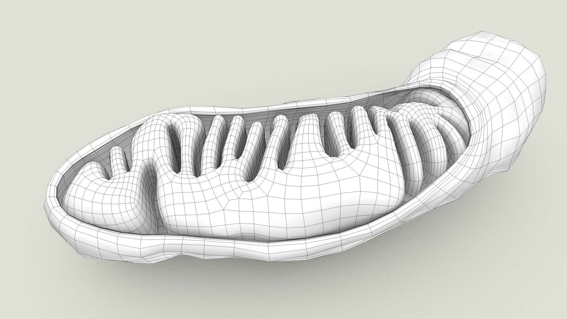 mitochondria dna ribosomes model https://p.turbosquid.com/ts-thumb/ee/E7yIKl/0l/mitohondria_outline_0014/jpg/1674892239/1920x1080/fit_q87/a4dc3146b075cb8b6dff1ecfd9f2e65cfa5a09dc/mitohondria_outline_0014.jpg