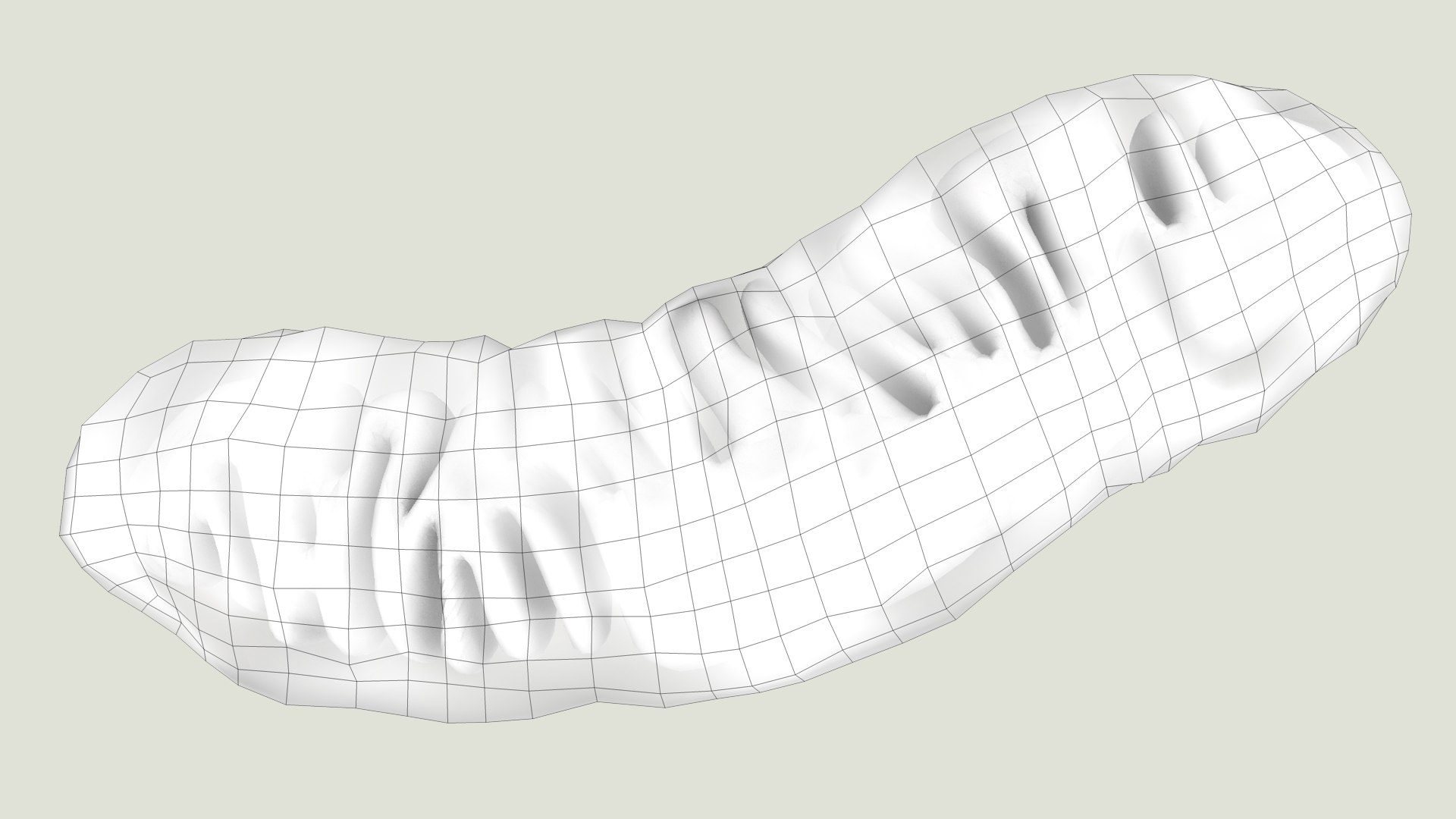mitochondria dna ribosomes model https://p.turbosquid.com/ts-thumb/ee/E7yIKl/1U/mitohondria_outline_0009/jpg/1674892235/1920x1080/fit_q87/131acda96a91c463811c4d69745c4e5ceac51fe9/mitohondria_outline_0009.jpg