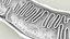 Mitochondria