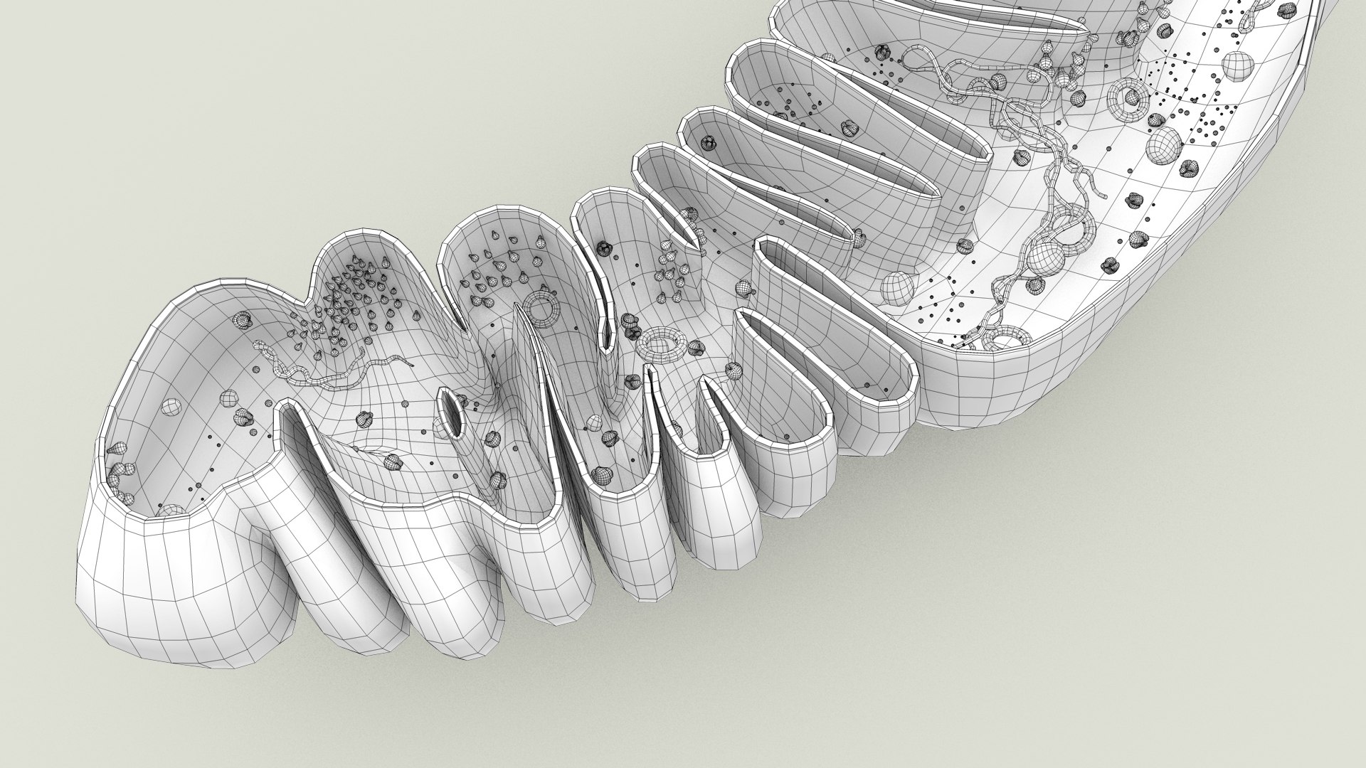 mitochondria dna ribosomes model https://p.turbosquid.com/ts-thumb/ee/E7yIKl/56/mitohondria_inside_0038/jpg/1674893892/1920x1080/fit_q87/da4d3f4c03084fe038fbc6a4a7c25520be587aaf/mitohondria_inside_0038.jpg