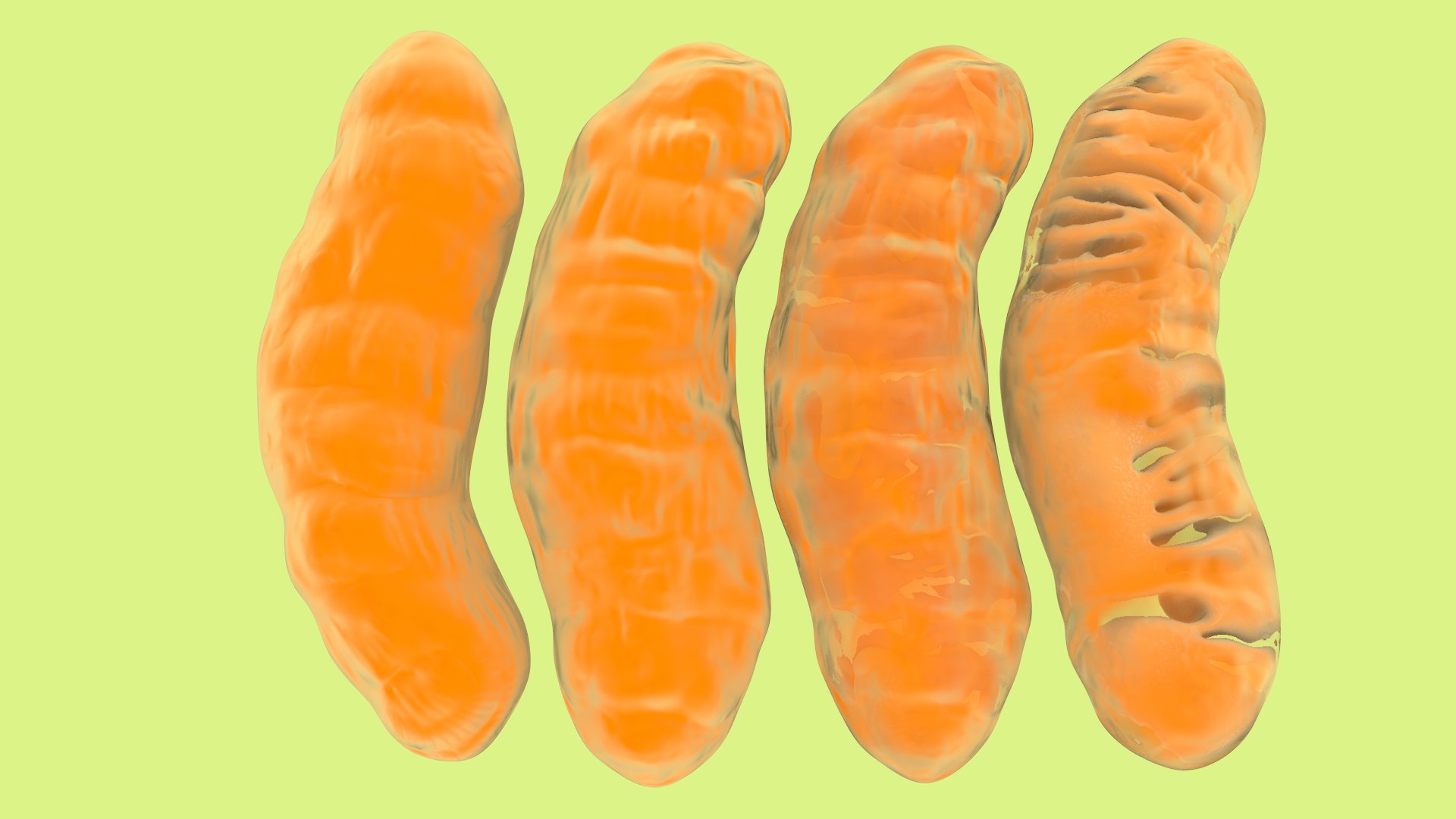 mitochondria dna ribosomes model https://p.turbosquid.com/ts-thumb/ee/E7yIKl/9Y/mitohondria_image_0005/jpg/1674885023/1920x1080/fit_q87/71ac16e3d7c620e90ae23e75bc18d3d3040954f4/mitohondria_image_0005.jpg